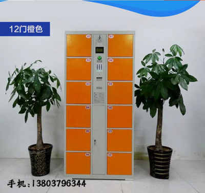 濱州市陽信縣濟(jì)南超市緊湊型存包柜 巧妙設(shè)計(jì)，高效便民